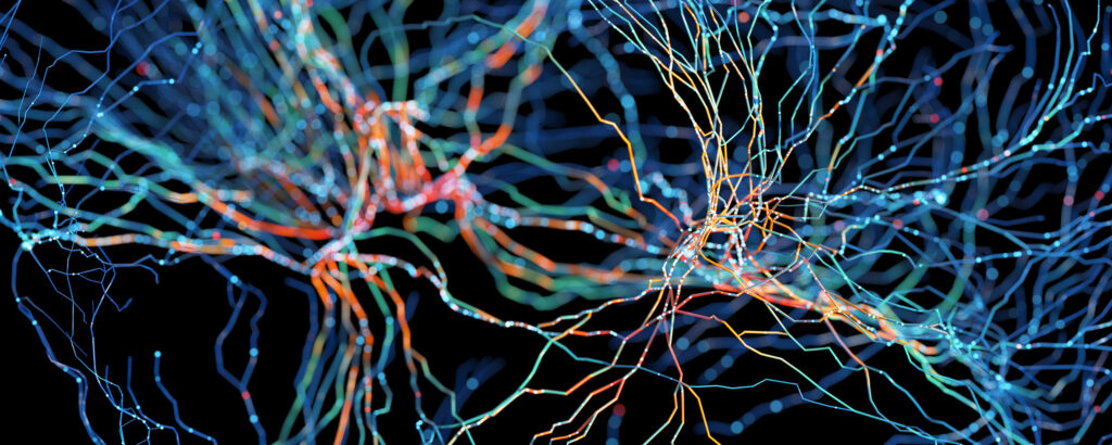 Neuron illustration